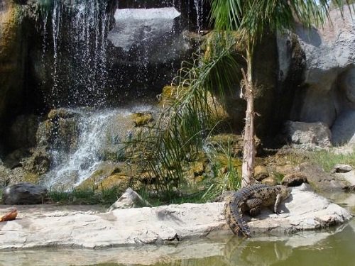 Paseo por Mexico Bosque y Zoológico de la Ciudad de Mexicali