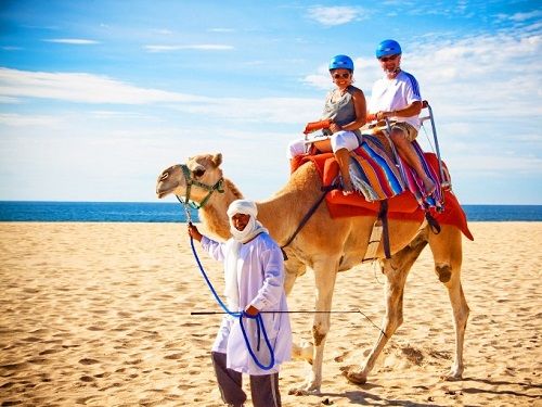 Paseo por Mexico Tour de Camellos en Los Cabos