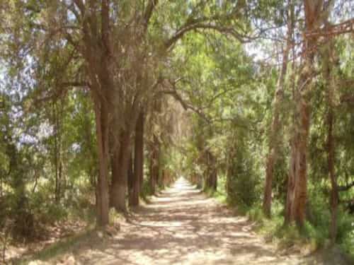 Paseo por Mexico La Ceja y la Calzada en Aculco