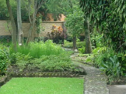 Paseo por Mexico Jardín Etnobotánico de Cuernavaca