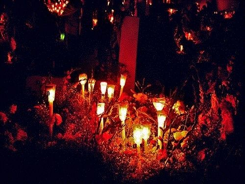 Paseo por Mexico Ofrendas de Día de Muertos en Xochitlán Todos Santos