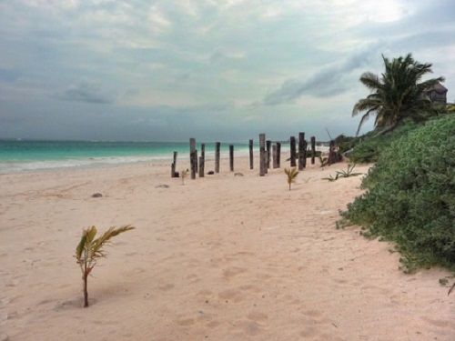 Paseo por Mexico Playa Paraíso en Isla Mujeres