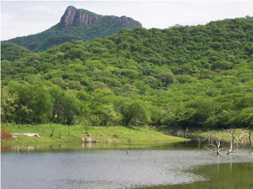 Paseo por Mexico Reserva ecológica de Cuchujaqui en Álamos