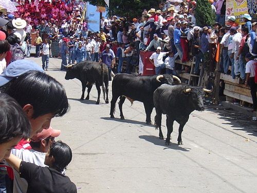 Paseo por Mexico Toros en la Humantlada