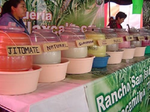 Paseo por Mexico Feria del Pulque Nanacamilpa de Mariano Arista